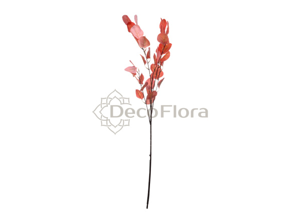 Эвкалипт 87см оранжевый