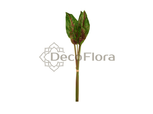 Лист анубиаса тропичесокго в пучке 6 листьев 55см зелено-красный